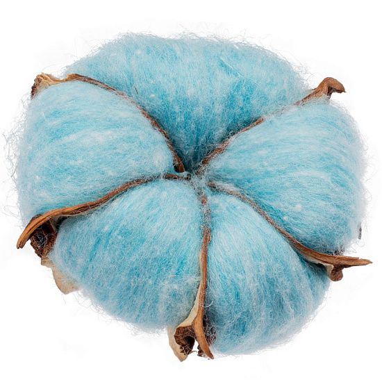 Цветок хлопка Cotton, голубой - подробное фото