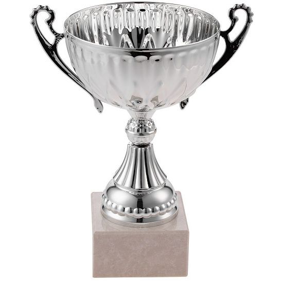 Кубок North King, большой, серебристый - подробное фото