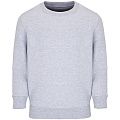 Свитшот детский Columbia Kids, серый меланж