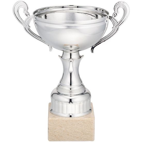 Кубок Appro, малый, серебристый - подробное фото