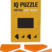 Головоломка IQ Puzzle Figures, прямоугольник - фото
