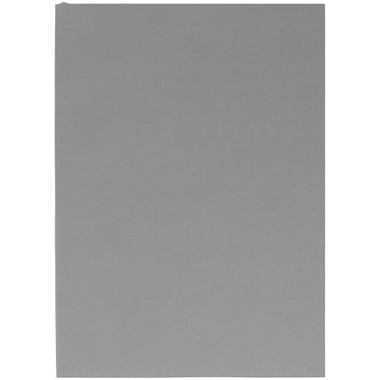 Ежедневник Flat Light, недатированный, серый - подробное фото