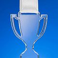 Медаль Cup