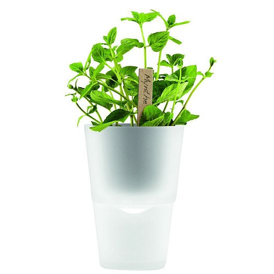 Горшок для растений Flowerpot, фарфоровый, белый - подробное фото