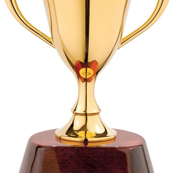 Награда «Кубок» - подробное фото