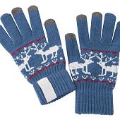 Сенсорные перчатки Raindeer, синие - фото