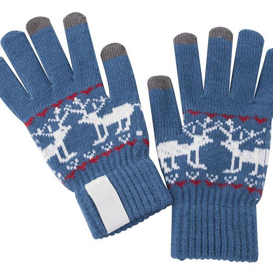 Сенсорные перчатки Raindeer, синие - подробное фото