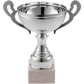 Кубок Appro, большой, серебристый - фото