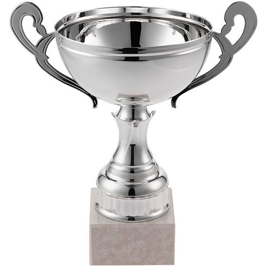 Кубок Appro, большой, серебристый - подробное фото