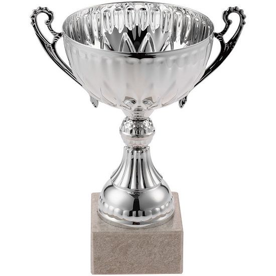Кубок North King, средний, серебристый - подробное фото