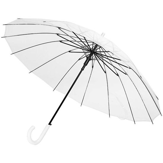 Прозрачный зонт-трость Clear 16 - подробное фото
