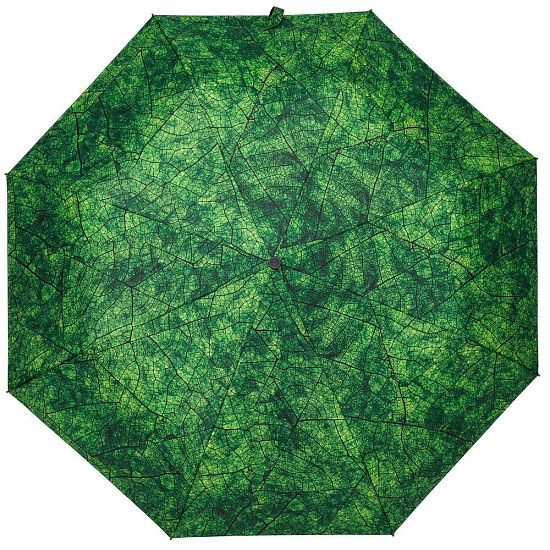 Зонт складной Evergreen - подробное фото