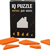 Головоломка IQ Puzzle, домик - фото