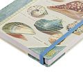 Книга для записей Shells